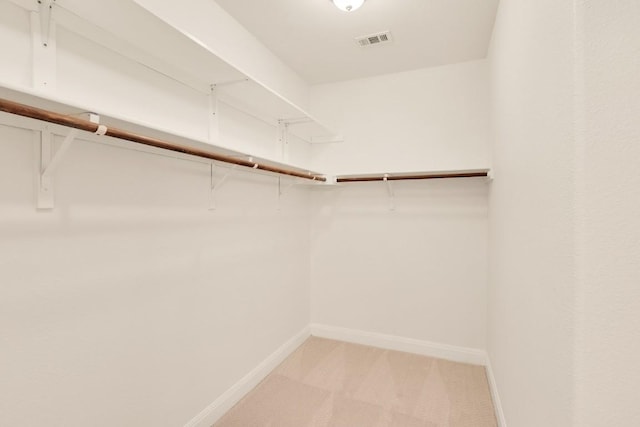 spacious closet with light colored carpet