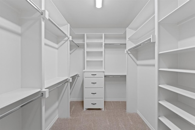 spacious closet featuring light carpet