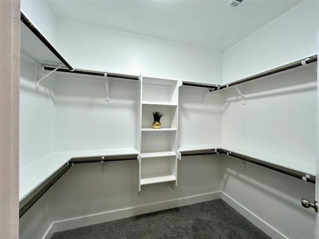 spacious closet with dark colored carpet