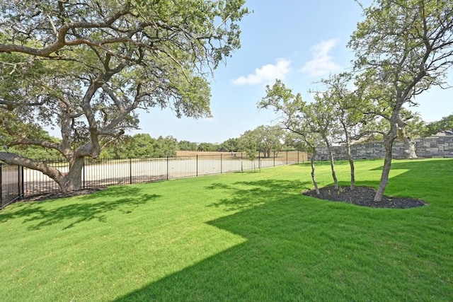 790 Old Stone Rd, Austin, TX 78737 - view of yard