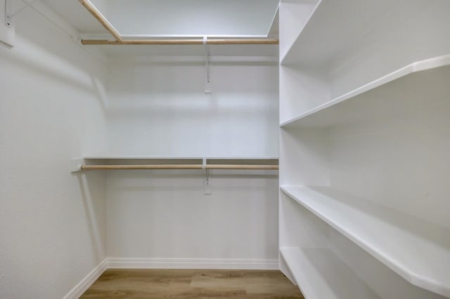 spacious closet with light wood-type flooring