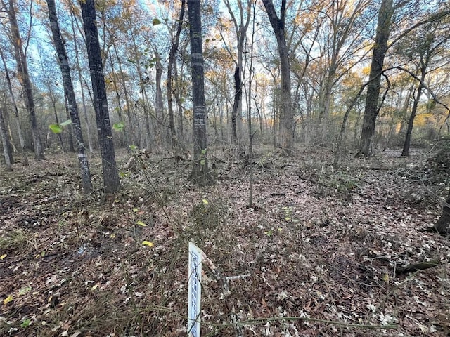 0 An County Road 354, Palestine, TX 75801 - photo 1