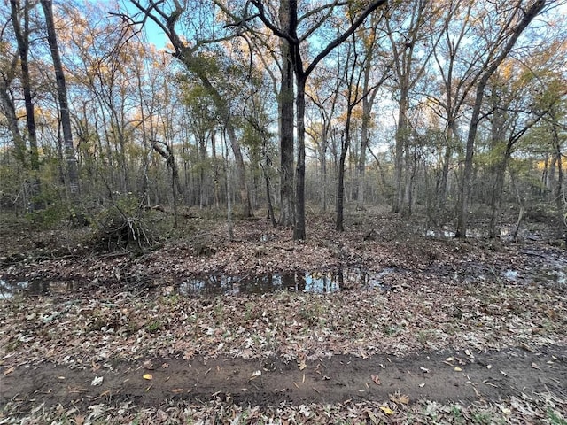 0 An County Road 354, Palestine, TX 75801 - photo 2