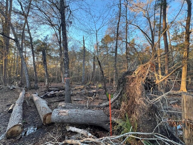 0 An County Road 354, Palestine, TX 75801 - photo 3