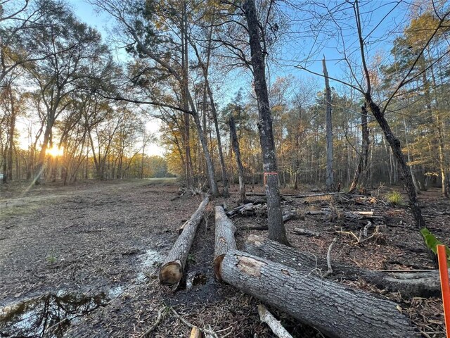 0 An County Road 354, Palestine, TX 75801 - photo 4