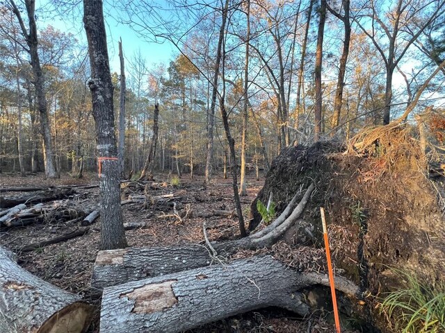 0 An County Road 354, Palestine, TX 75801 - photo 5