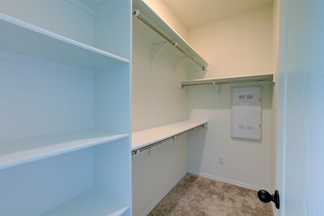 walk in closet with light colored carpet