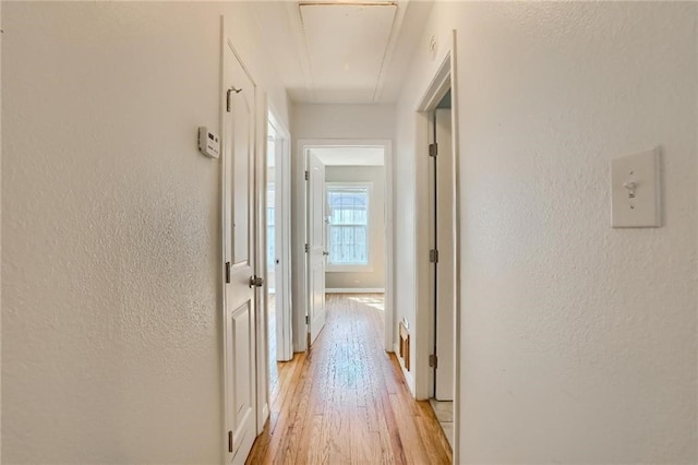 hall with light hardwood / wood-style flooring