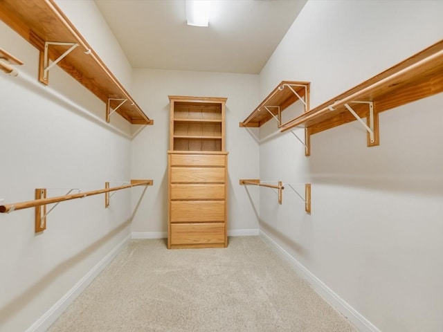 walk in closet featuring light carpet