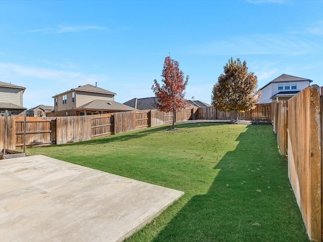 view of yard featuring a patio area