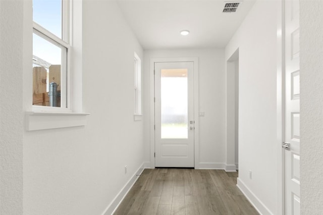 1117 Yaupon Holly Dr, Georgetown, TX 78628 - entryway with baseboards, visible vents, and wood finished floors