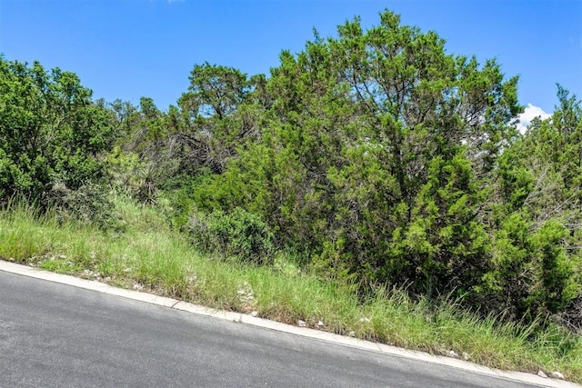 Listing photo 3 for Lot24094 Fallow, Horseshoe Bay TX 78657