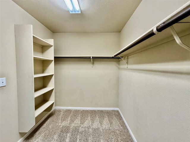 100 Wilson Ct, Hutto, TX 78634 - spacious closet featuring carpet floors