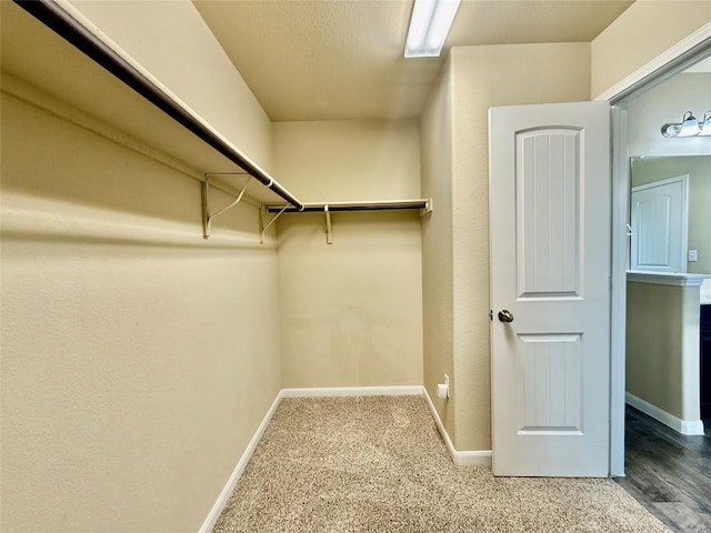 spacious closet with carpet floors