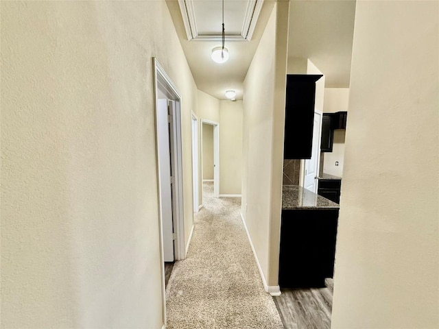 100 Wilson Ct, Hutto, TX 78634 - hallway featuring attic access and carpet floors