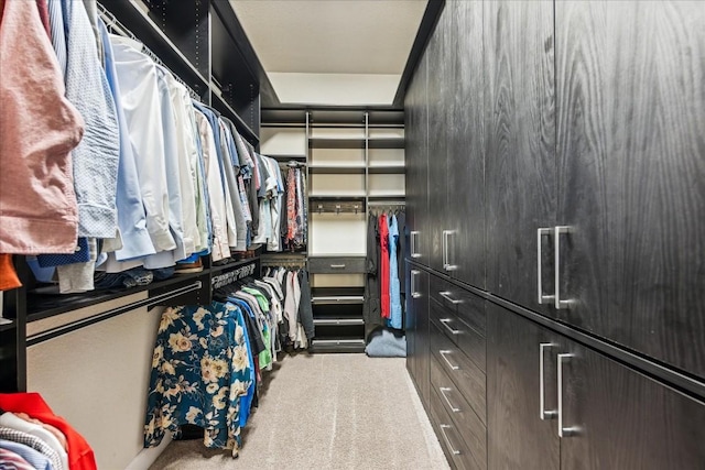 spacious closet with light carpet