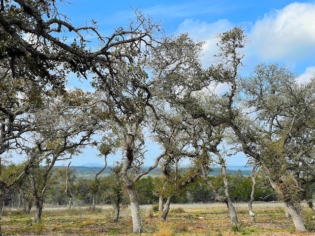 TBD Windmill Ridge Dr, Blanco TX, 78606 land for sale