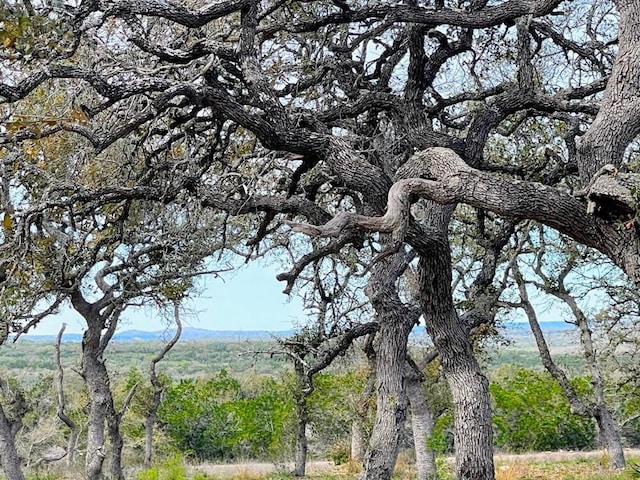 Listing photo 2 for TBD Windmill Ridge Dr, Blanco TX 78606