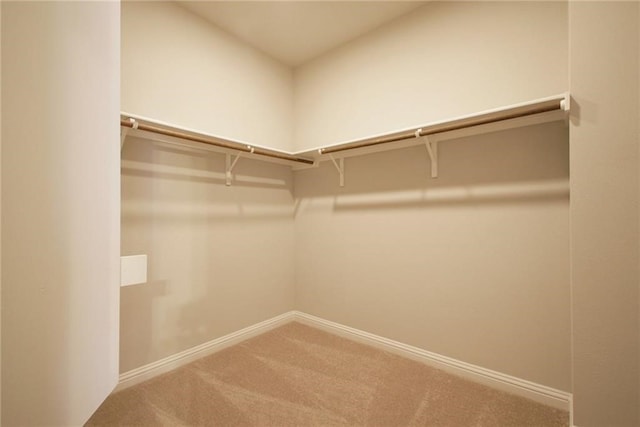 spacious closet featuring carpet flooring