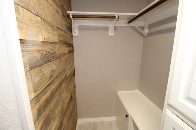 walk in closet with wood-type flooring