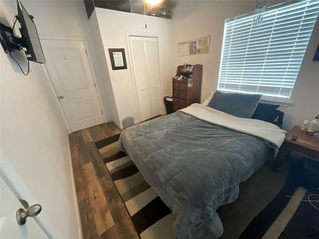 bedroom with a closet and dark wood-type flooring