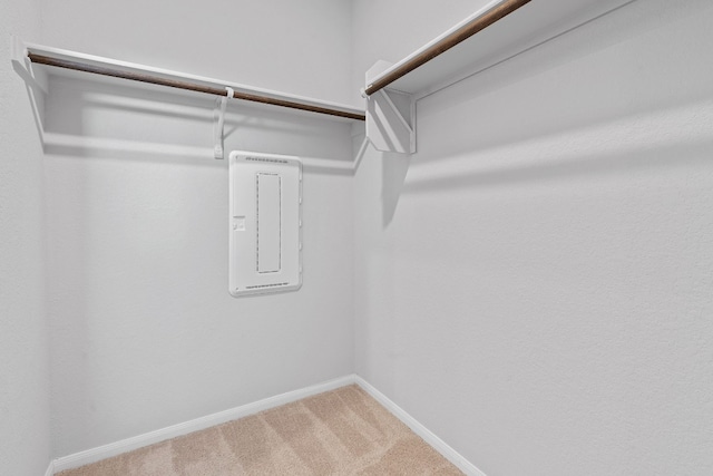 spacious closet with carpet