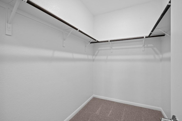 spacious closet with carpet flooring