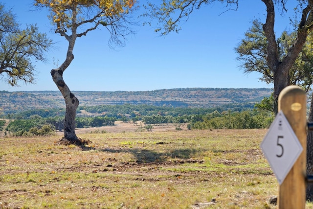 3300 Fm 165, Dripping Springs TX, 78620 land for sale