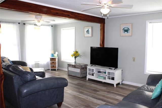 living room featuring beamed ceiling, plenty of natural light, dark hardwood / wood-style flooring, and ornamental molding