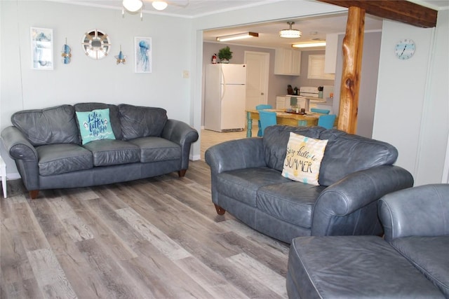 living room featuring hardwood / wood-style flooring, ceiling fan, and crown molding