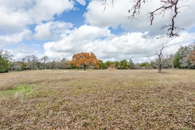 Listing photo 3 for 170 Deadwood Rd, Cedar Creek TX 78621