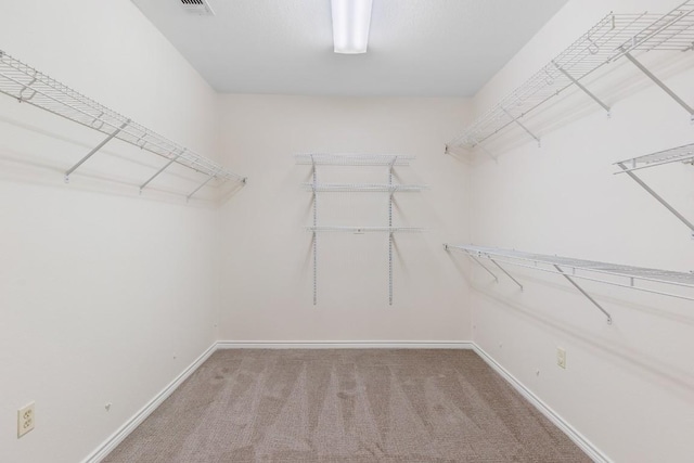 spacious closet with carpet flooring