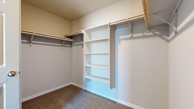 spacious closet featuring carpet