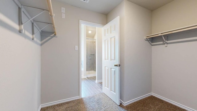 walk in closet with carpet flooring