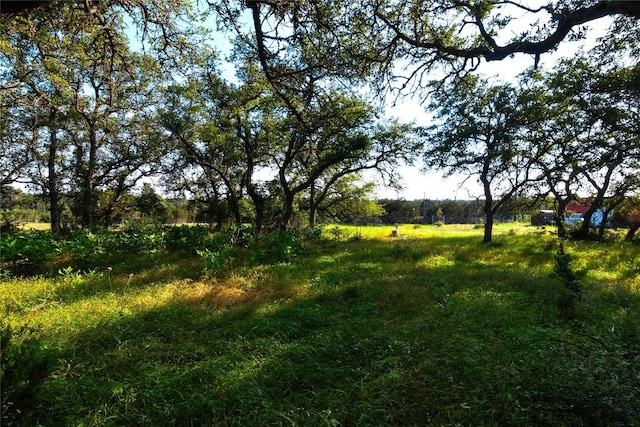 view of landscape featuring a rural view