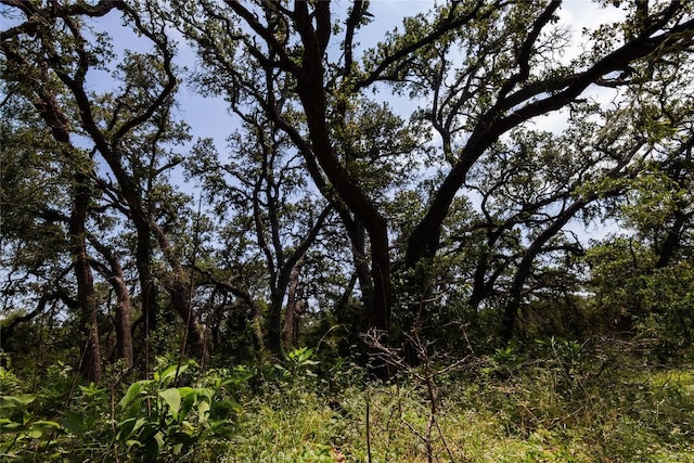 view of nature