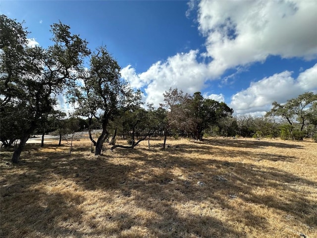 view of landscape featuring a rural view