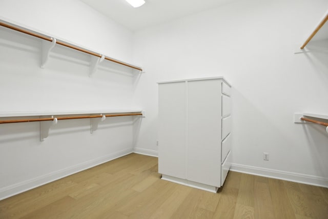 walk in closet featuring light wood-type flooring