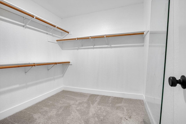 spacious closet with carpet flooring