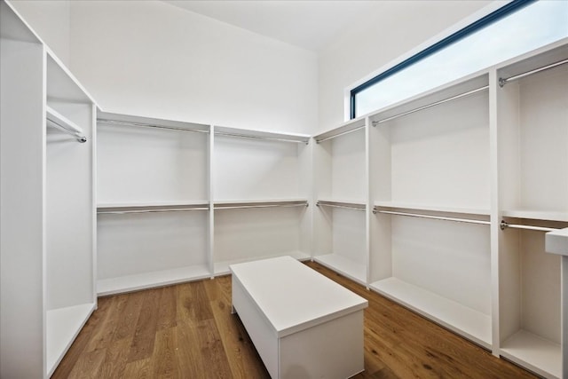 walk in closet with hardwood / wood-style floors