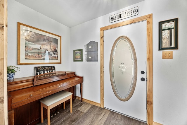 foyer entrance featuring dark hardwood / wood-style floors