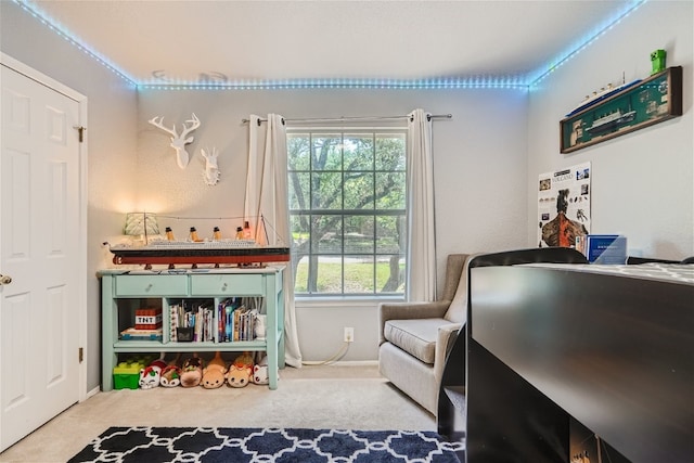 view of carpeted bedroom