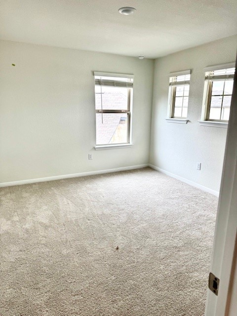 unfurnished room featuring carpet flooring and plenty of natural light