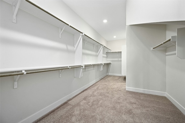 149 Golden Sage Ave, Georgetown, TX 78633 - walk in closet with carpet flooring