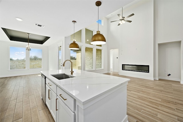 149 Golden Sage Ave, Georgetown, TX 78633 - kitchen featuring light wood-style flooring, open floor plan, a tray ceiling, and white cabinetry