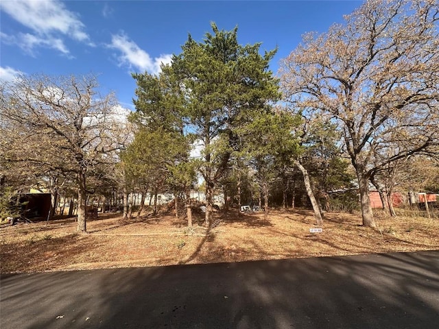 Listing photo 2 for 105 Arrowhead Dr, Smithville TX 78957