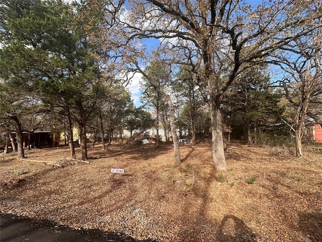 Listing photo 3 for 105 Arrowhead Dr, Smithville TX 78957