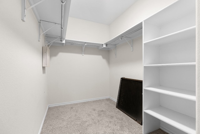 spacious closet featuring light carpet