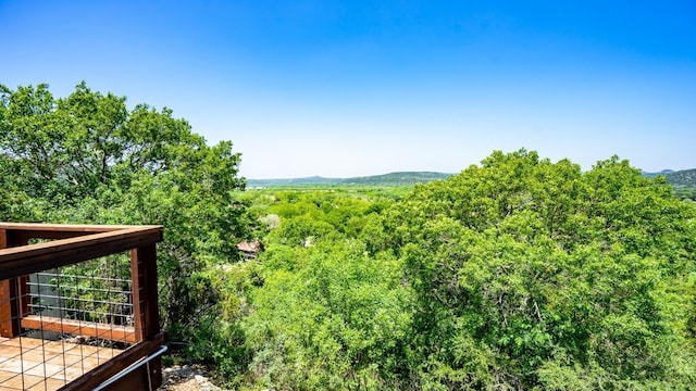 view of mountain feature