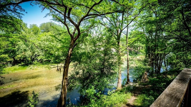 view of nature featuring a water view